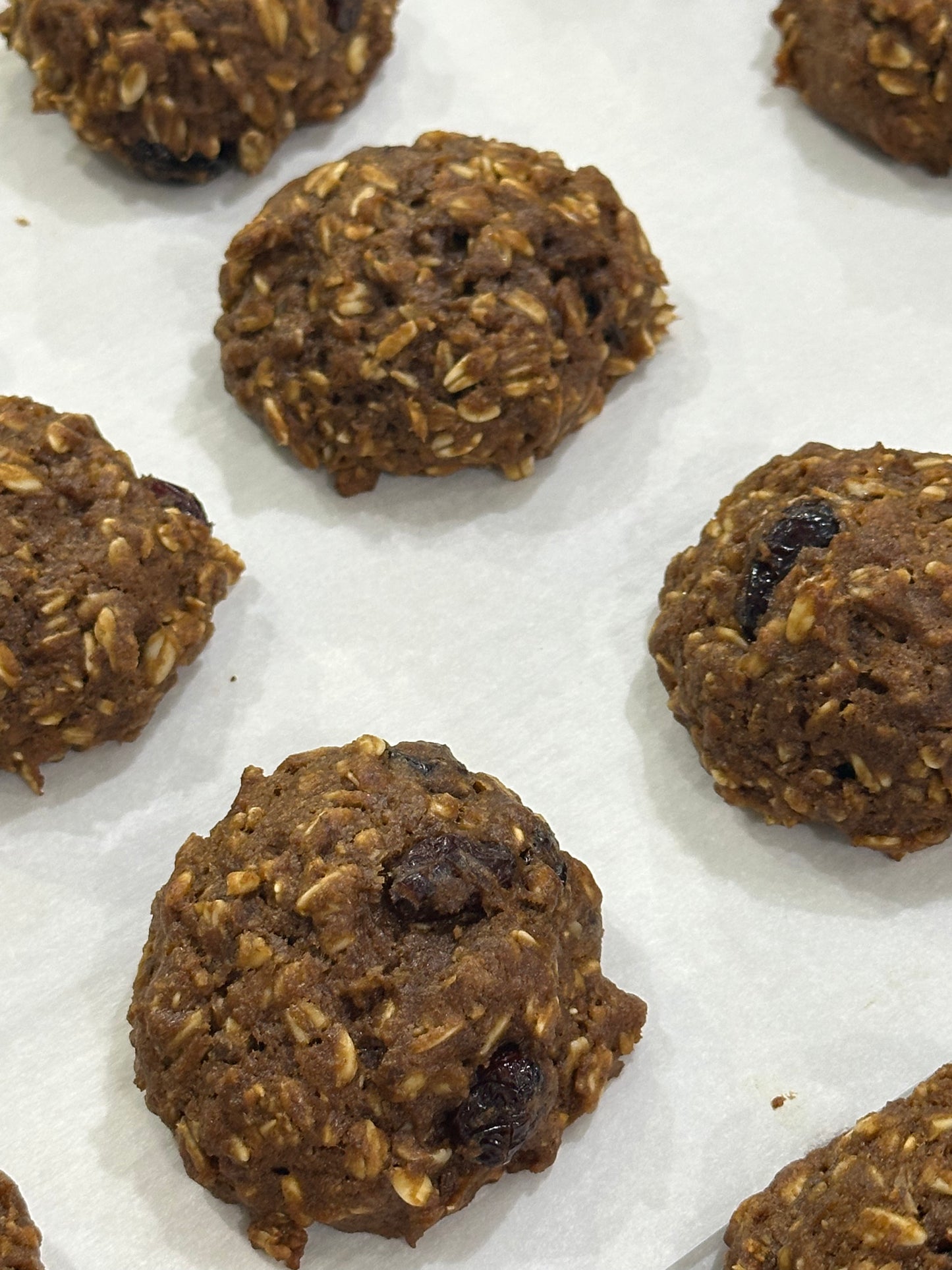 NEW ITEM! Gluten Free Sourdough chocolate chip oatmeal cookies