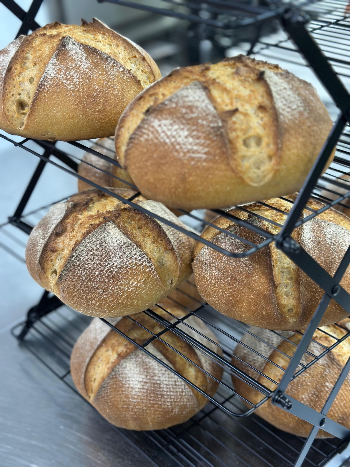 GF Molino Sourdough