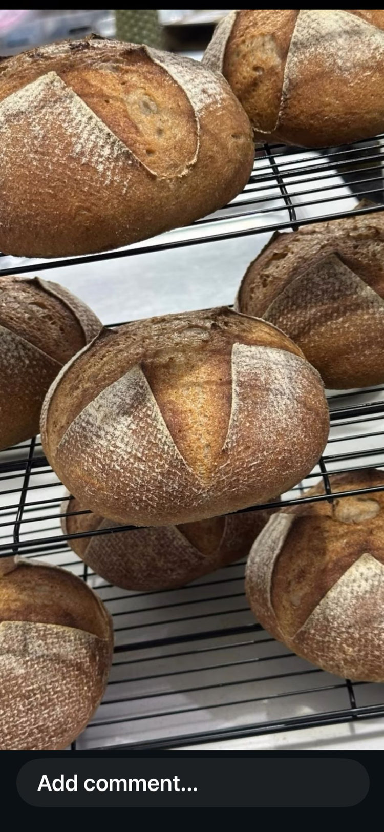 GF Hamotzei Sourdough