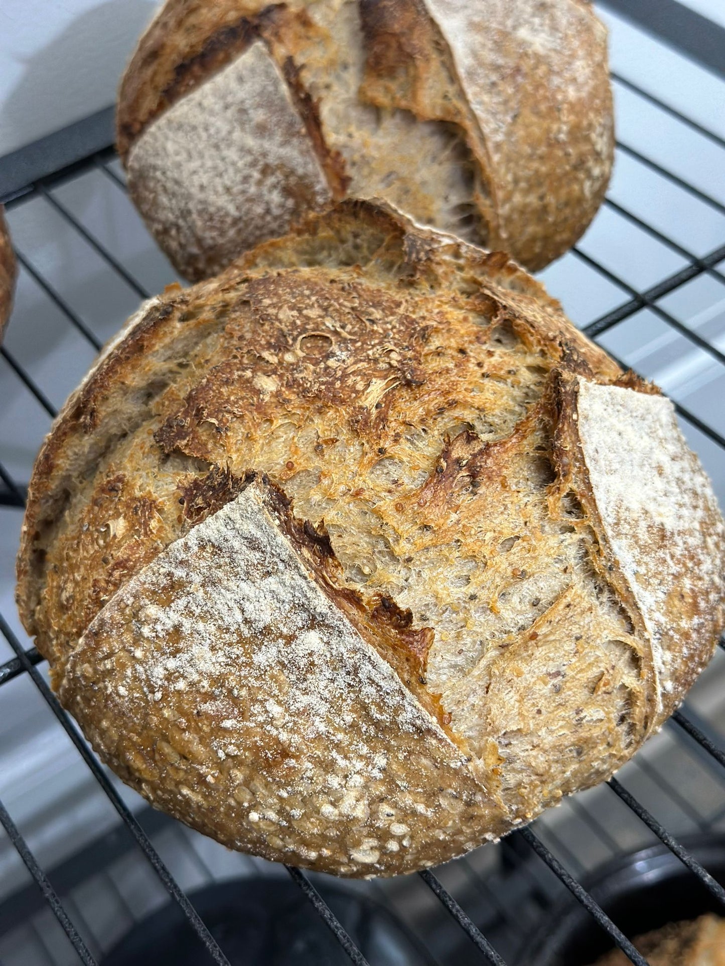 Multigrain Sourdough