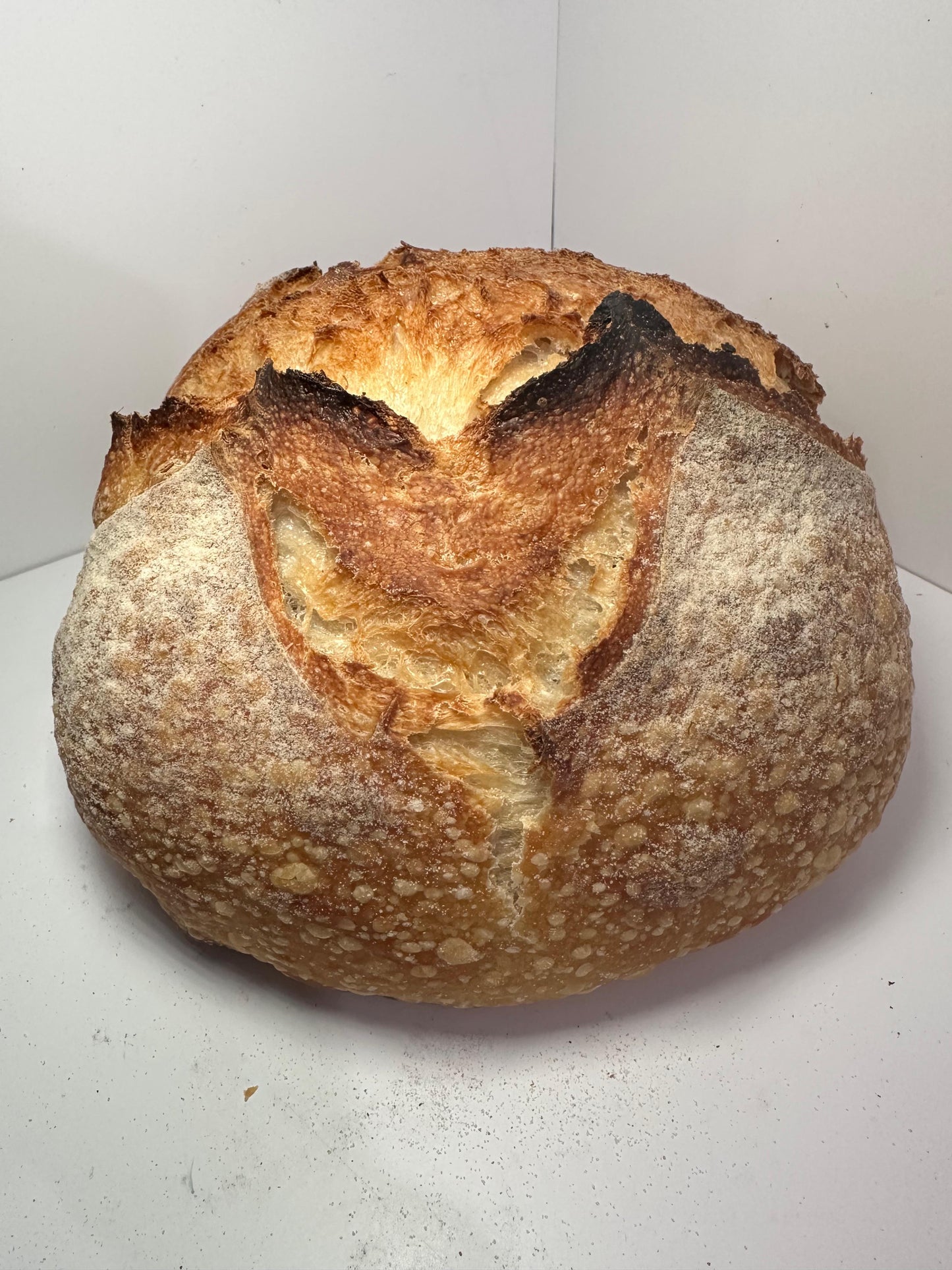 100% White Spelt Sourdough