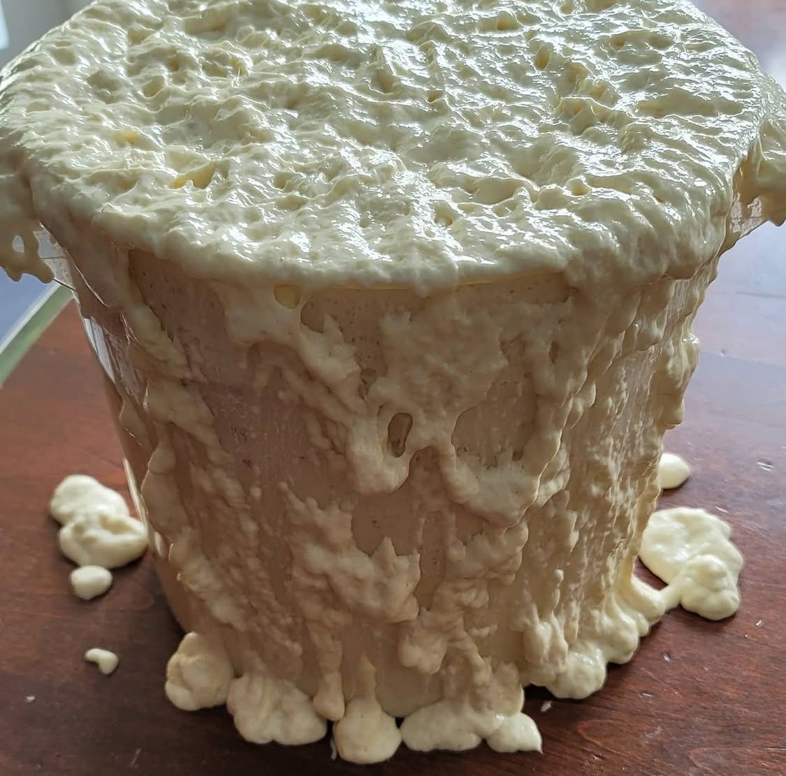 Container of Starter