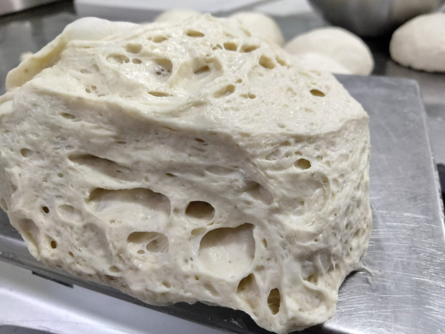 Raw Sourdough Pizza Dough